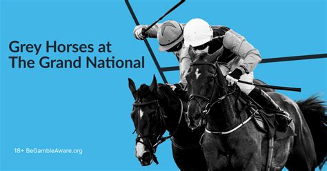 types of bets grand national|The Grand National: How To Bet (and WIN) At The Best Odds!.